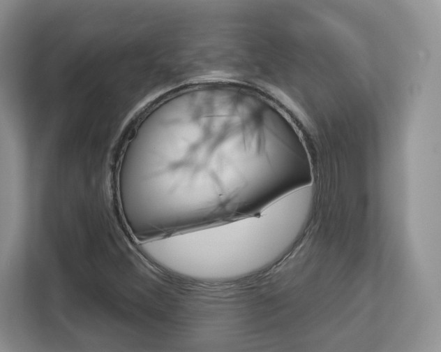 X0000112761356200908201025