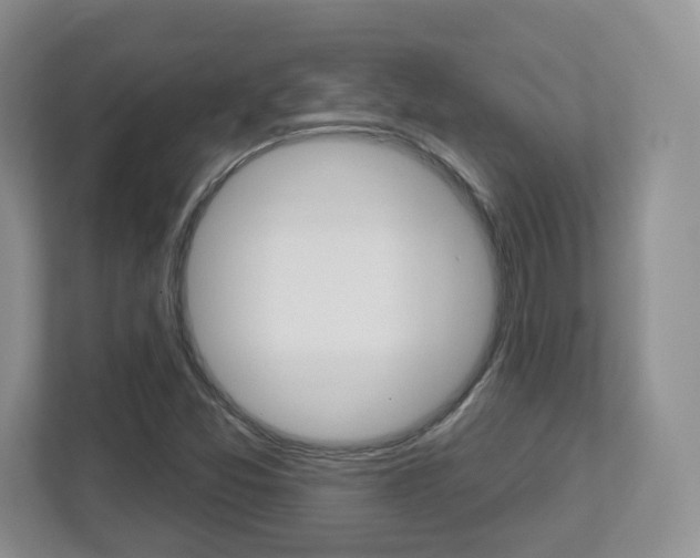 X0000112761357200908201025