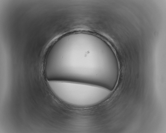 X0000112761359200908201025