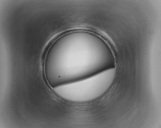 X0000112761360200908201025