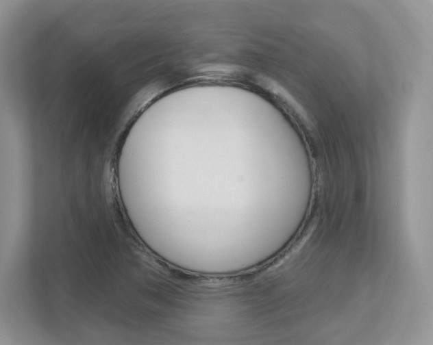 X0000112761362200908201025