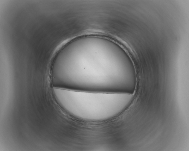 X0000112761363200908201025
