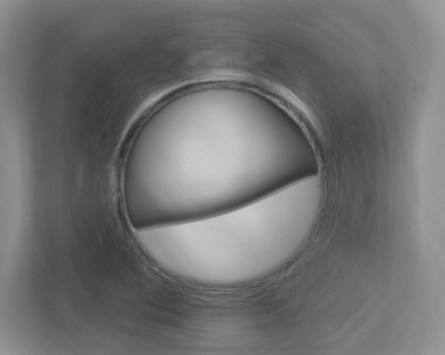 X0000112761364200908201025