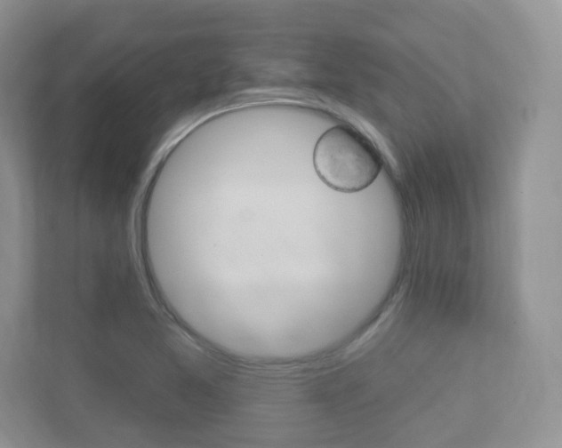 X0000112761365200908201025