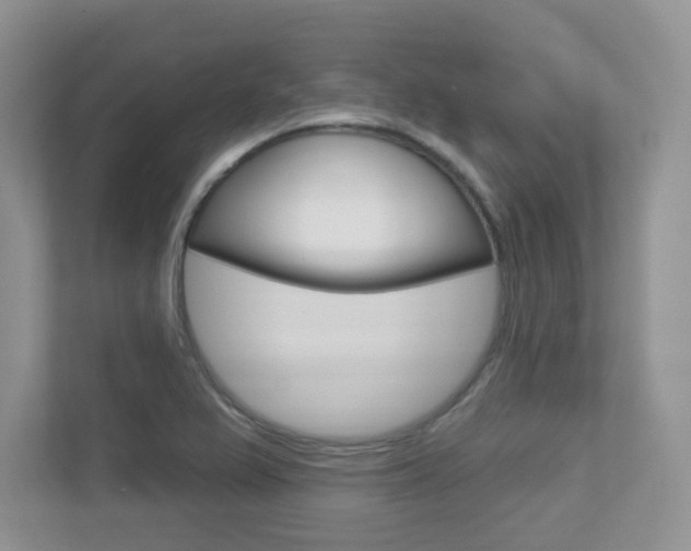 X0000112761367200908201025
