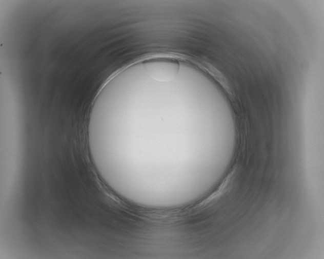 X0000112761369200908201025