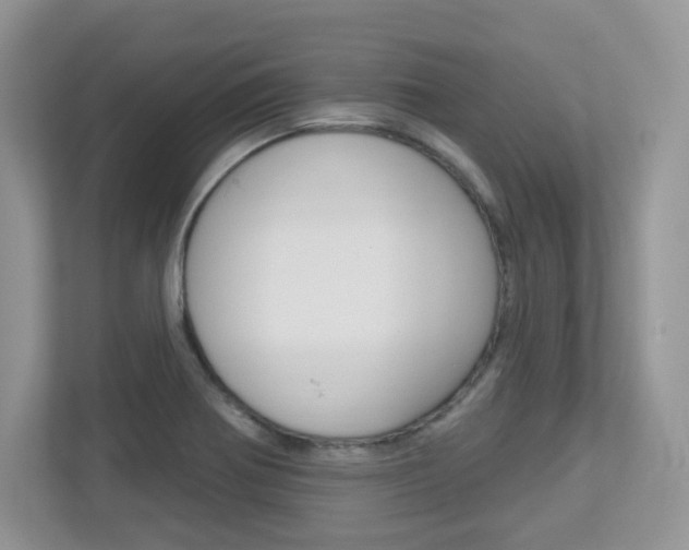 X0000112761370200908201025