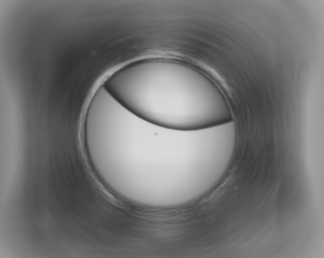 X0000112761371200908201025
