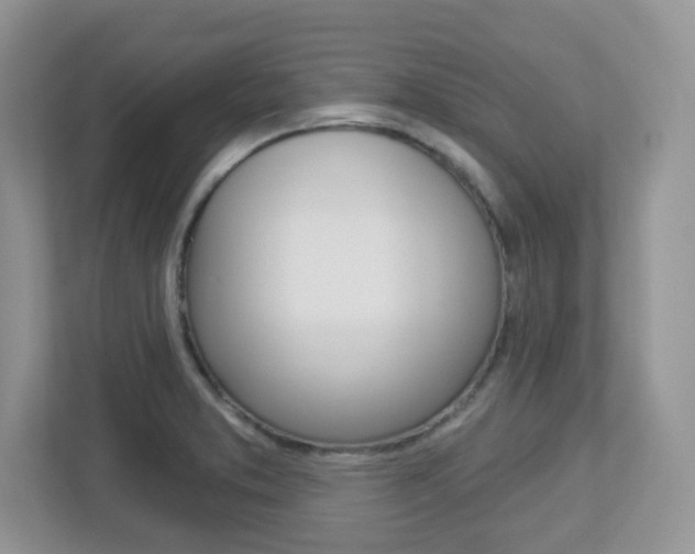 X0000112761373200908201025