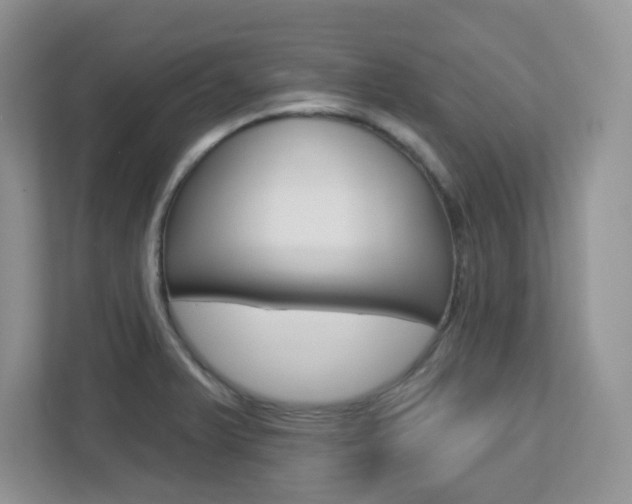 X0000112761375200908201025