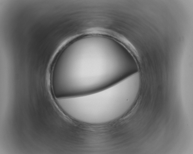 X0000112761376200908201025