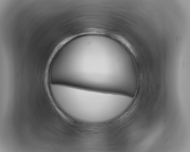 X0000112761379200908201025