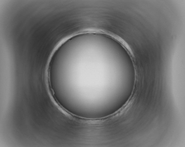 X0000112761381200908201025