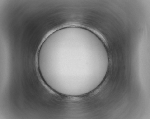 X0000112761382200908201025