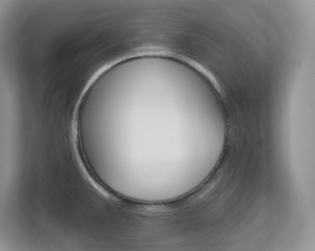 X0000112761383200908201025