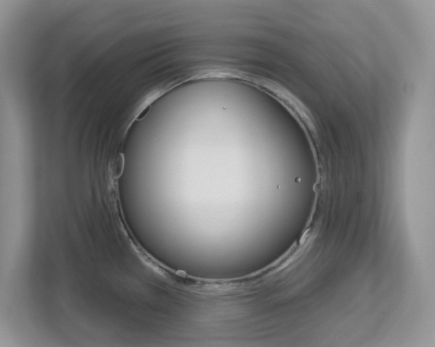 X0000112761385200908201025
