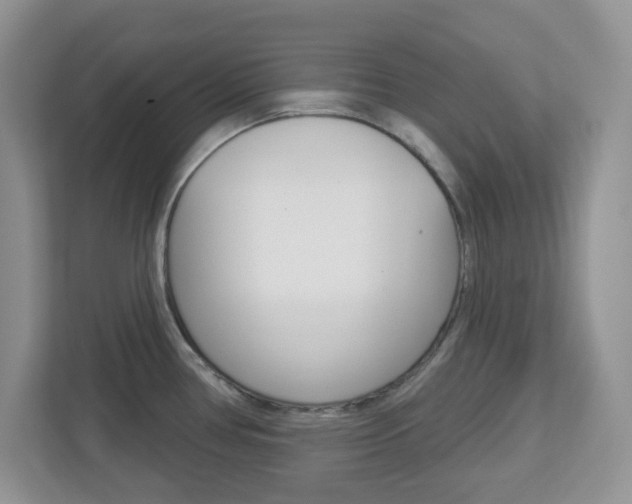 X0000112761386200908201025
