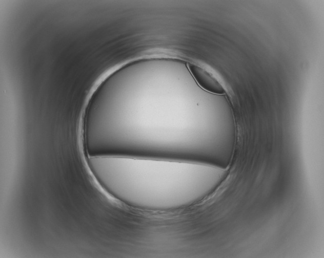 X0000112761387200908201025