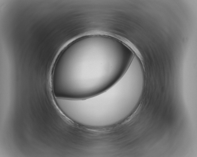 X0000112761388200908201025