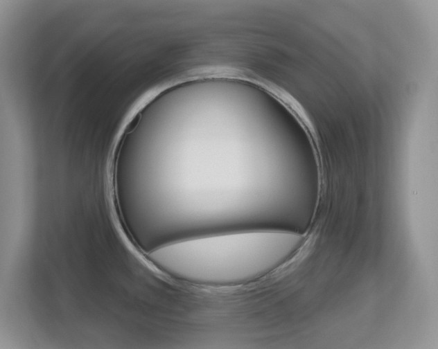 X0000112761389200908201025