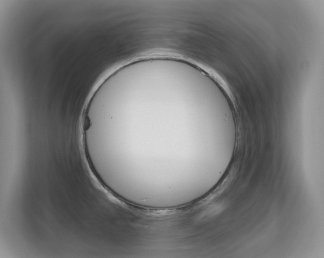X0000112761390200908201025