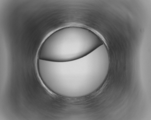 X0000112761391200908201024