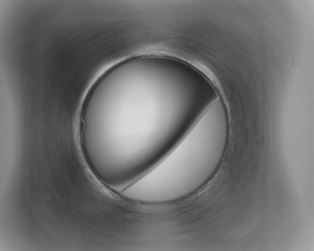 X0000112761392200908201024