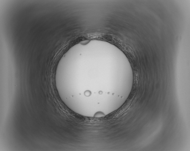 X0000112761393200908201024