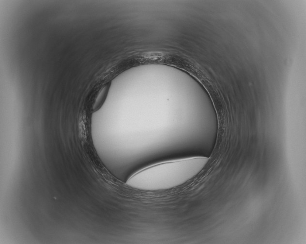 X0000112761394200908201024