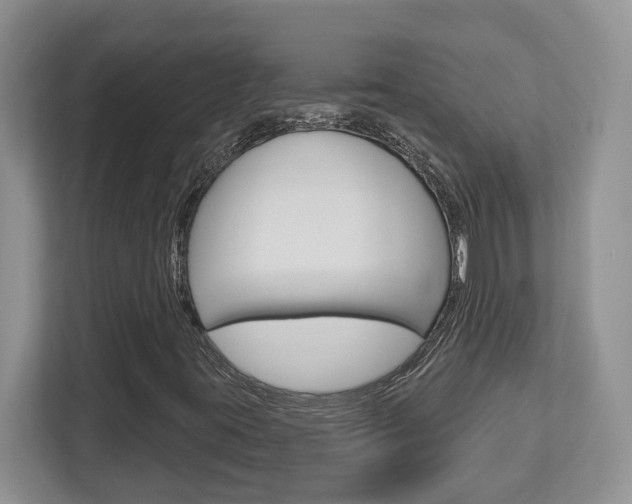 X0000112761395200908201024