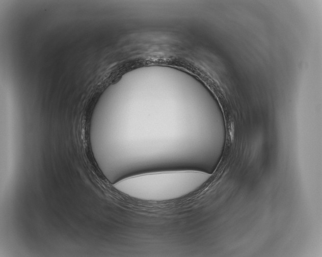 X0000112761396200908201024