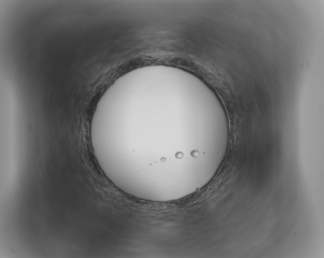 X0000112761397200908201024