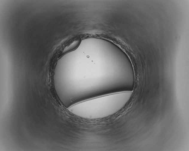X0000112761398200908201024