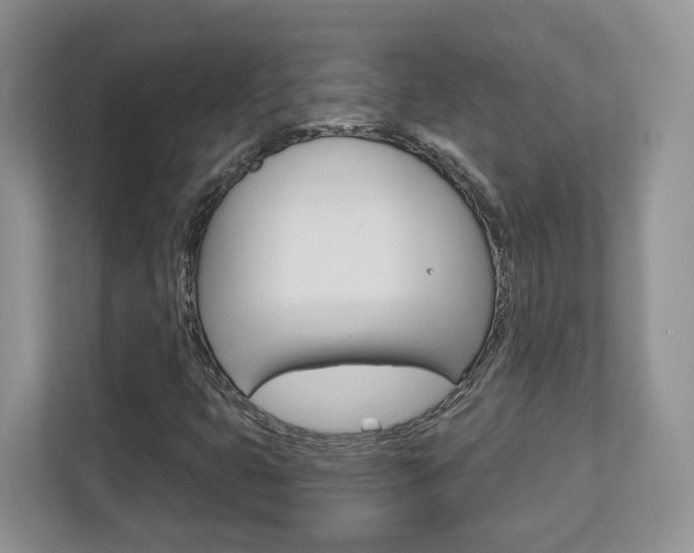 X0000112761399200908201024