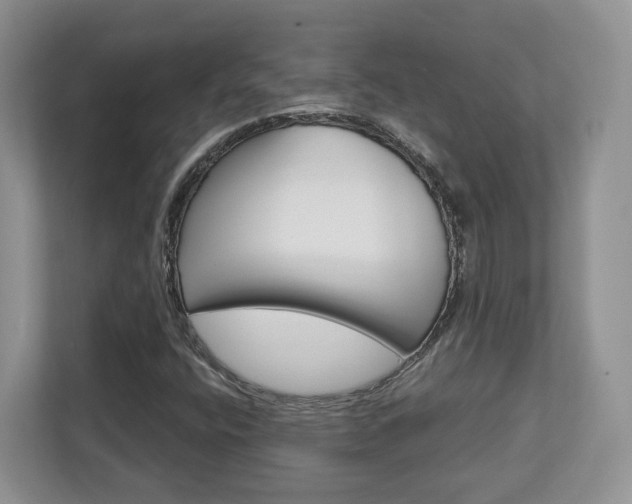 X0000112761400200908201024