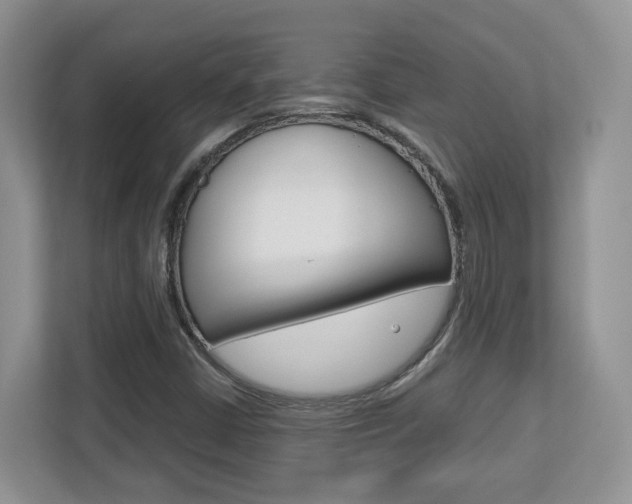 X0000112761402200908201024