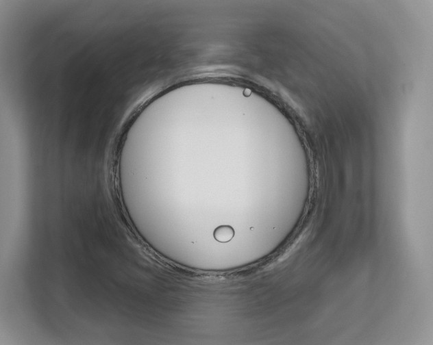 X0000112761405200908201024