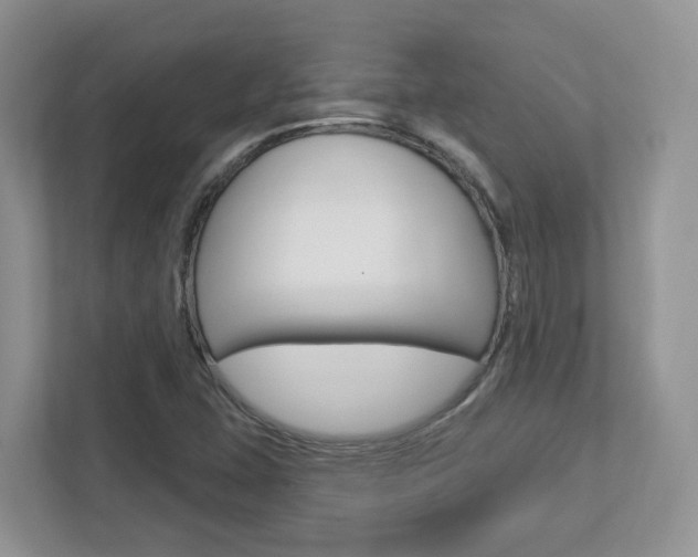 X0000112761407200908201024