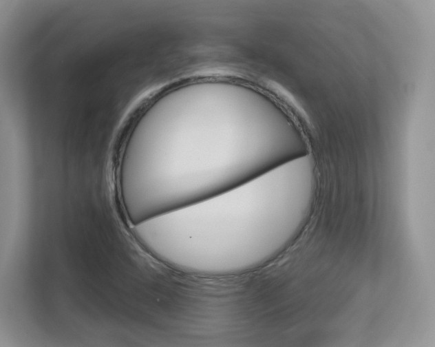 X0000112761408200908201024