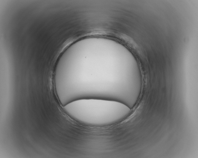 X0000112761409200908201024
