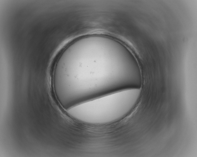 X0000112761414200908201024