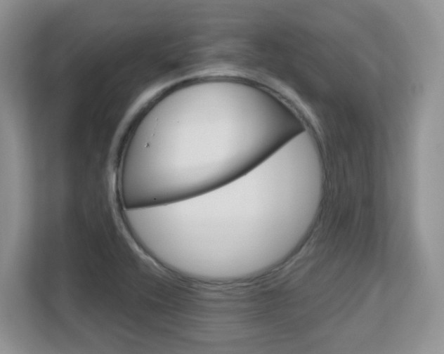 X0000112761416200908201024