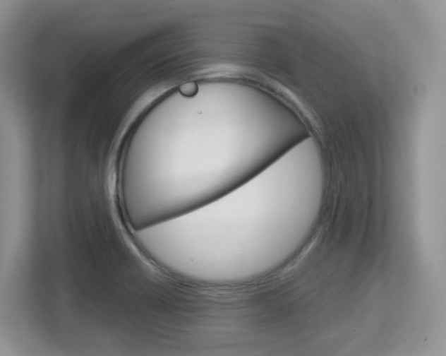 X0000112761418200908201024