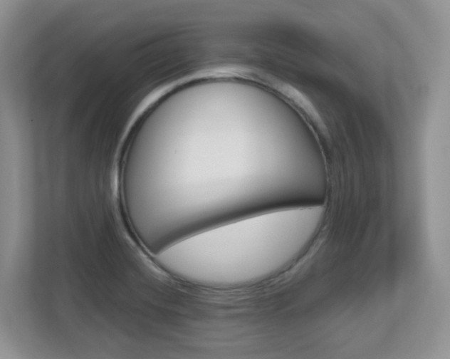 X0000112761420200908201024
