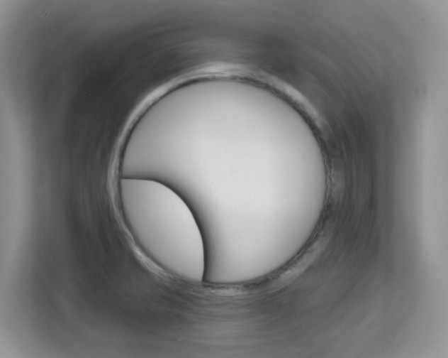 X0000112761421200908201024