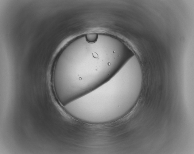X0000112761422200908201024