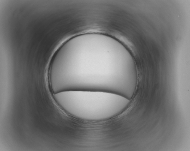 X0000112761423200908201024