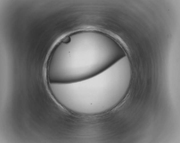 X0000112761424200908201024