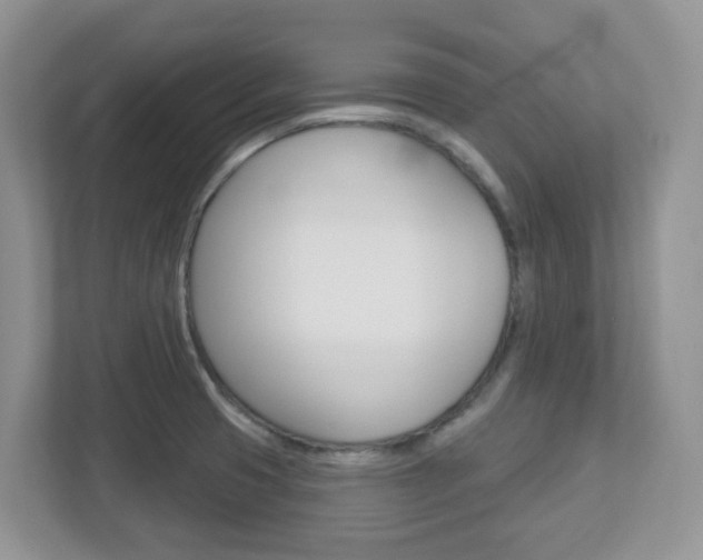 X0000112761425200908201024