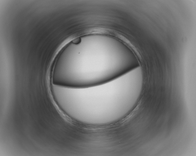 X0000112761426200908201024